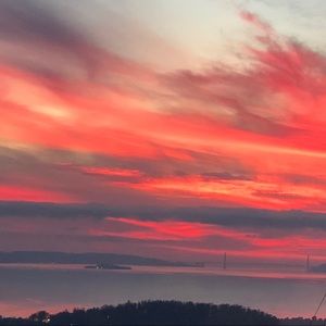 Meet your Posher, Liz